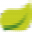 Fotor设计